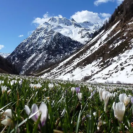 Bergmann * Außervillgraten