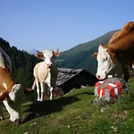 Bergmann Außervillgraten