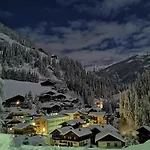 Apartman Bergmann *