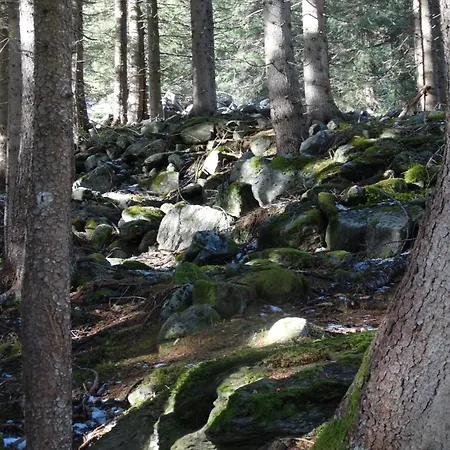 아파트 Bergmann Außervillgraten