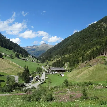 Bergmann