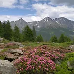 Апартаменты Bergmann