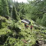 Апартаменты Bergmann *