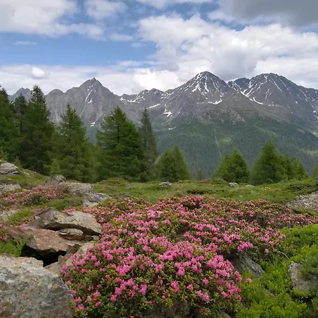 Appartamento Bergmann