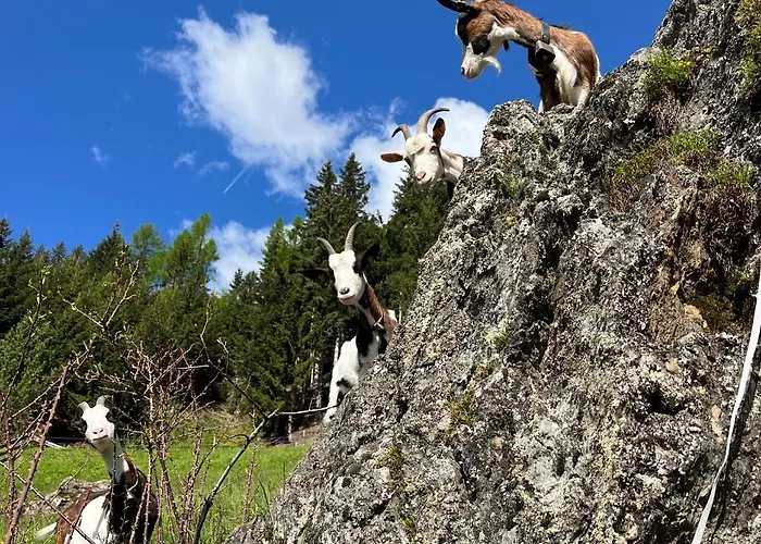 Bergmann Appartamento