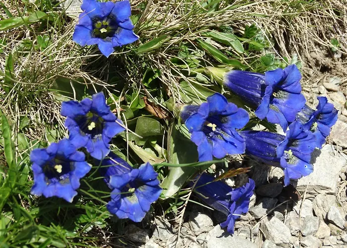 Bergmann Außervillgraten