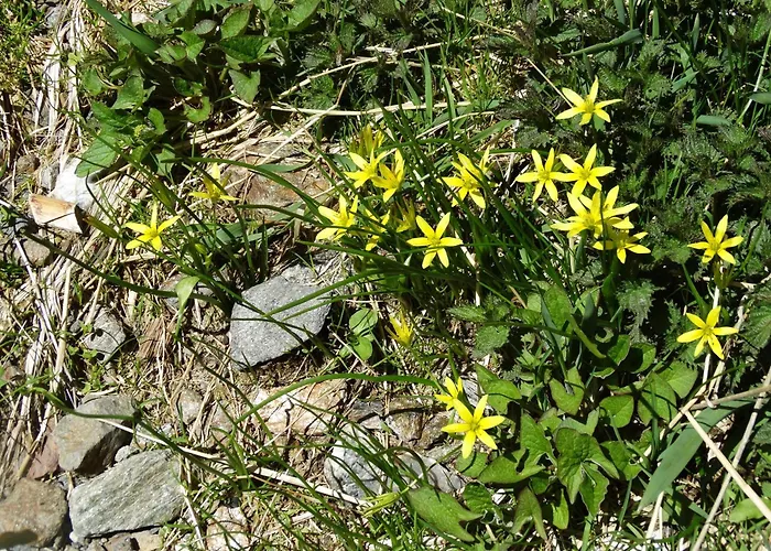 Bergmann Appartamento *