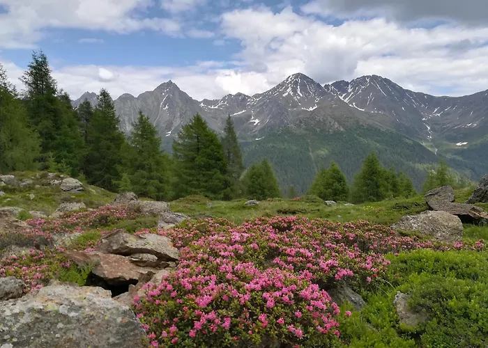 Appartamento Bergmann