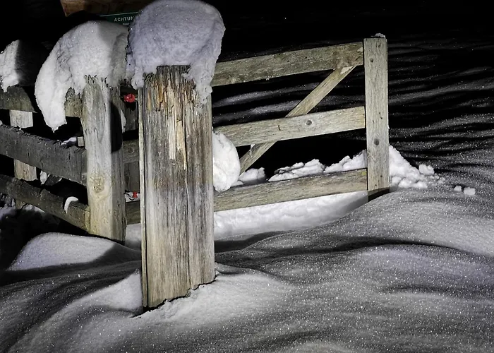 公寓 贝格曼公寓 *